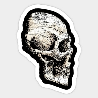 Bone Sticker